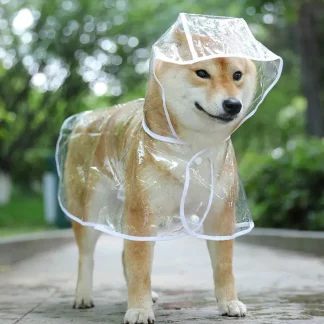 Transparent Waterproof Dog Raincoat with Hood for Small Dogs 1