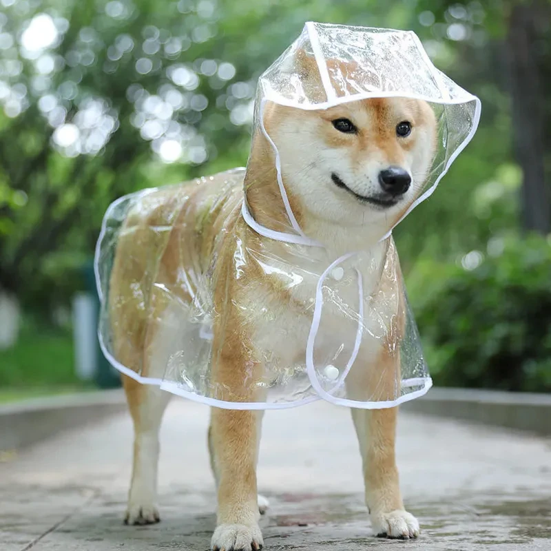 Transparent Waterproof Dog Raincoat with Hood for Small Dogs 1