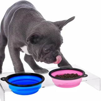 Collapsible silicone pet travel bowl with carabiner for dogs and cats 2