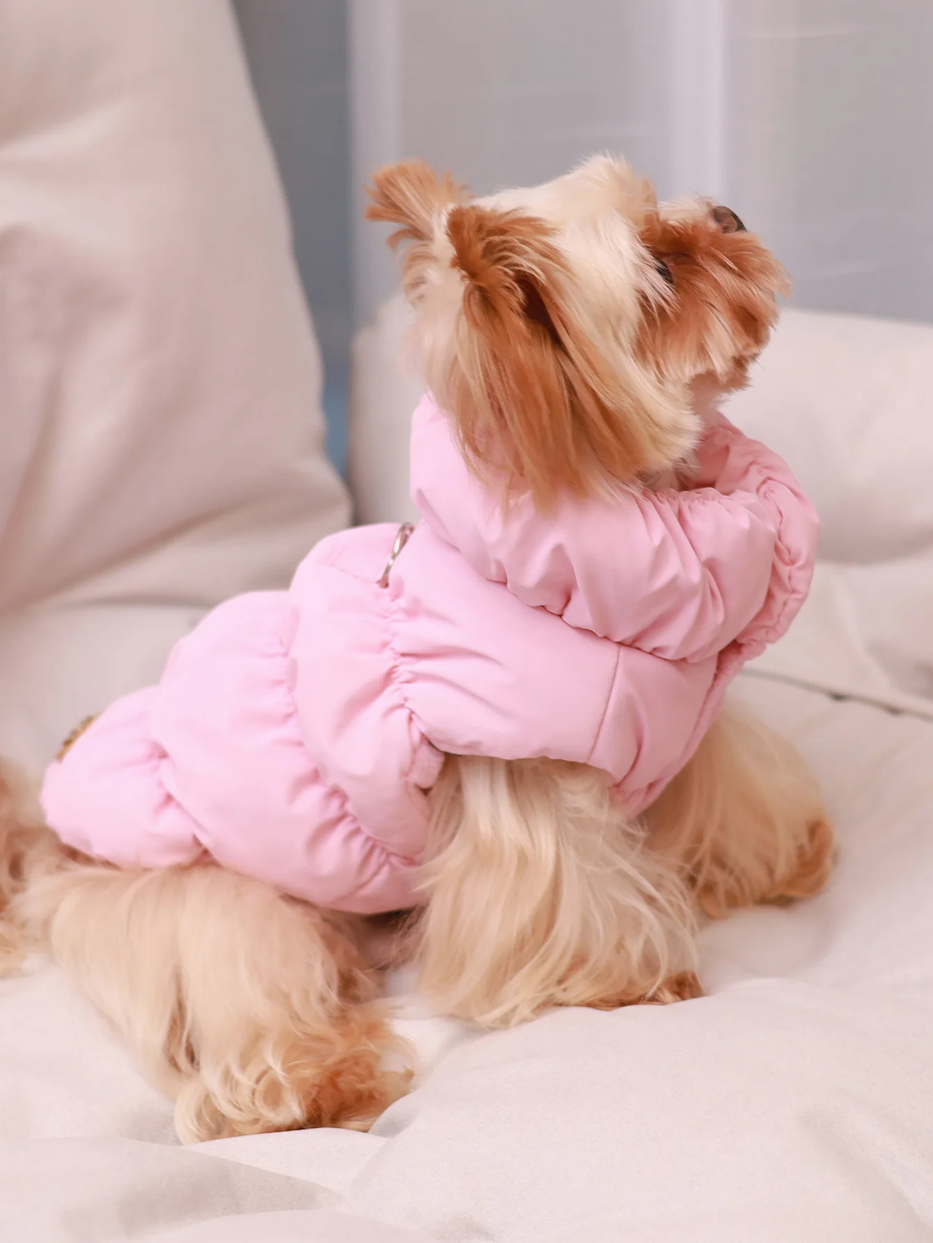 3-Layer Warm Dog Jacket for Fall & Winter – Cozy Solid Color Pet Coat for Small to Medium Dogs 1