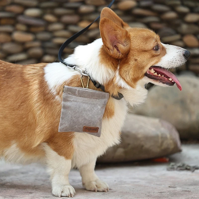 Oil resistant dog training treat pouch portable snack bag for walks 5