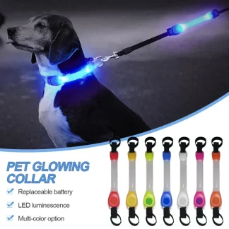 Waterproof LED Dog Safety Light Strip for Night Visibility 1