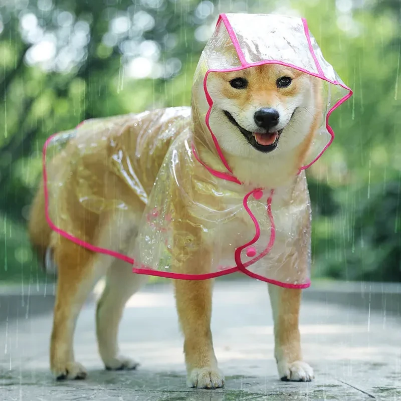 Transparent Waterproof Dog Raincoat with Hood for Small Dogs 3