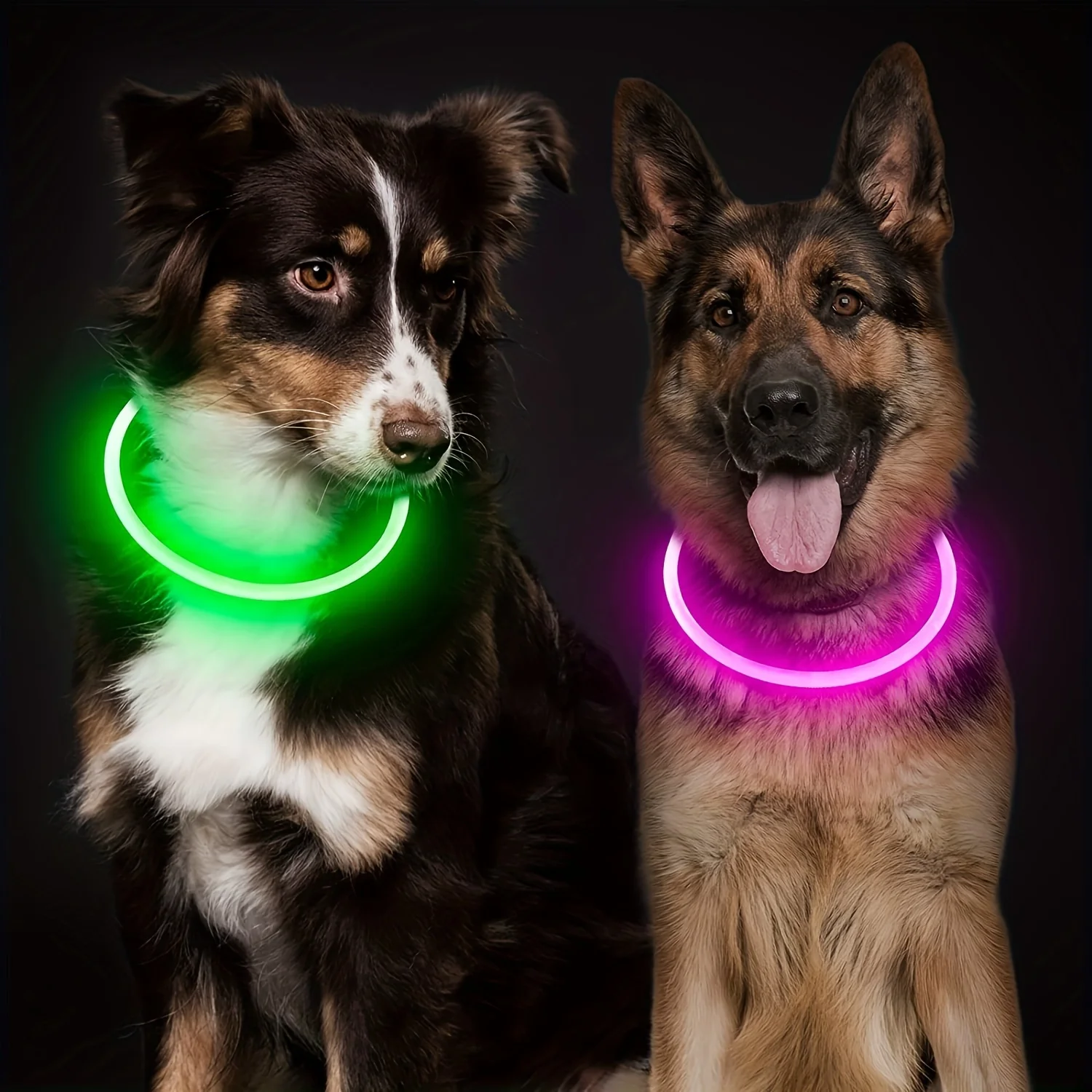 LED Dog & Cat Collar – Bright Anti-Lost Night Safety Collar- USB Rechargeable Collar 10