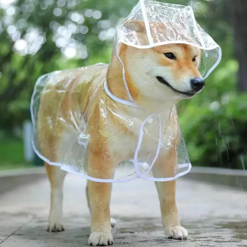 Transparent Waterproof Dog Raincoat with Hood for Small Dogs 2