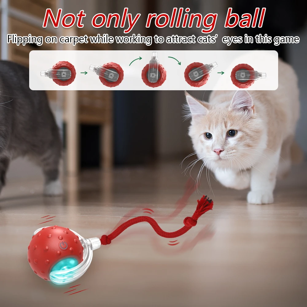 Smart Motion Chirping Cat Ball – Interactive Rolling Toy for Indoor Cats 5
